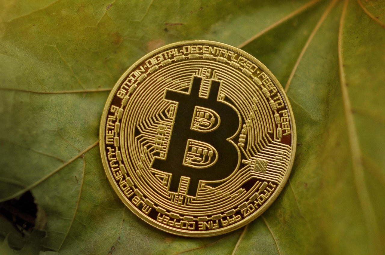 ビットコイン初心者が投資を始める際、いくらから始めるべき？