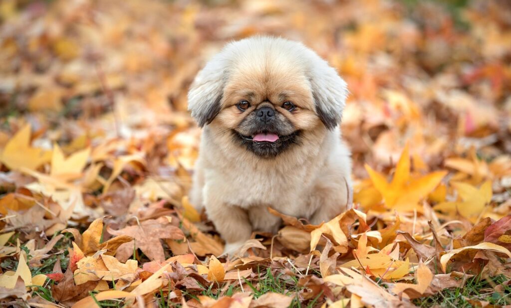 イーサリアムの使い方を初心者向けに詳しく解説しますか？