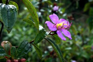 仮想通貨初心者が知っておくべきSIM乗っ取り対策は？